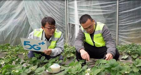 湖北通信業邁入“物超人”時代 前7月物聯網卡用戶激增66.8%領跑全國，智能水務系統開發成關鍵引擎